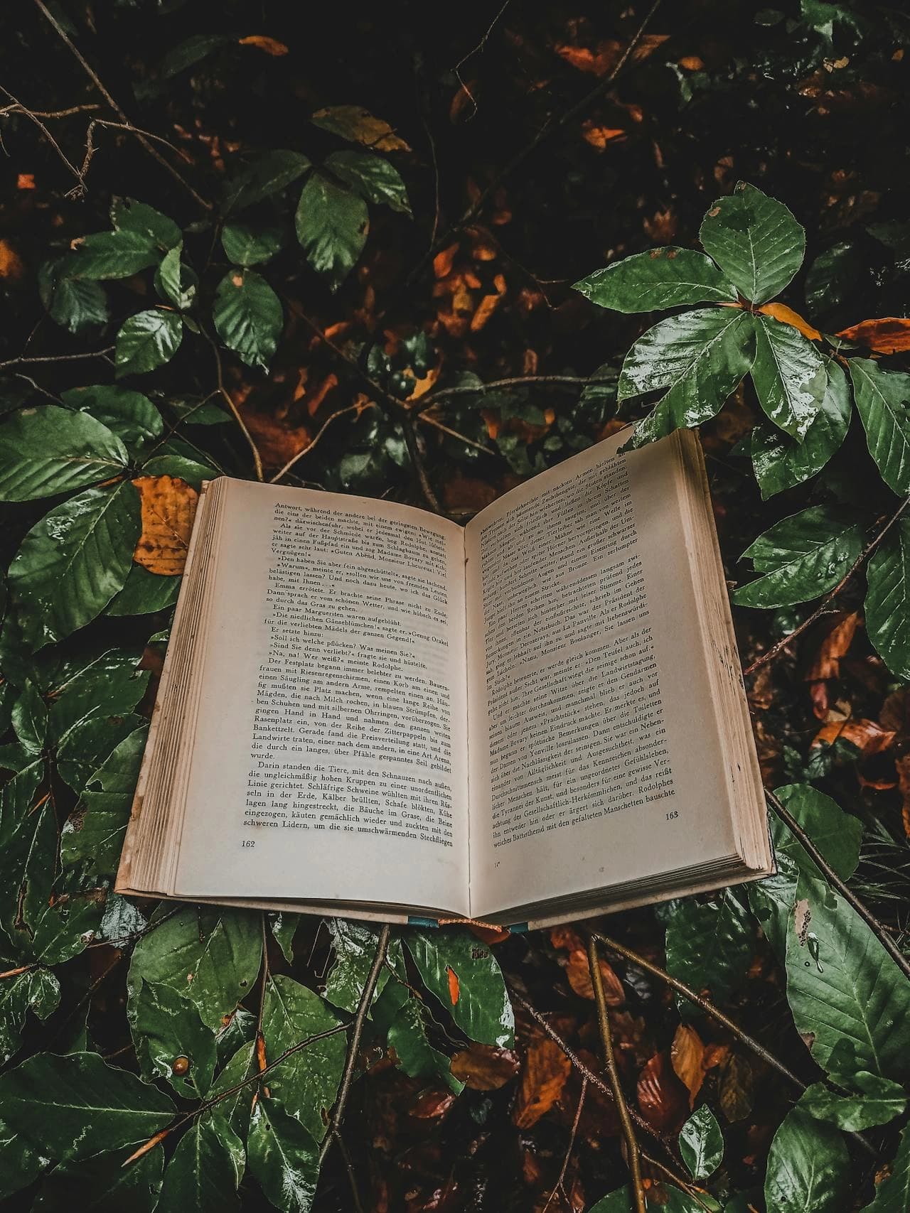 why-book